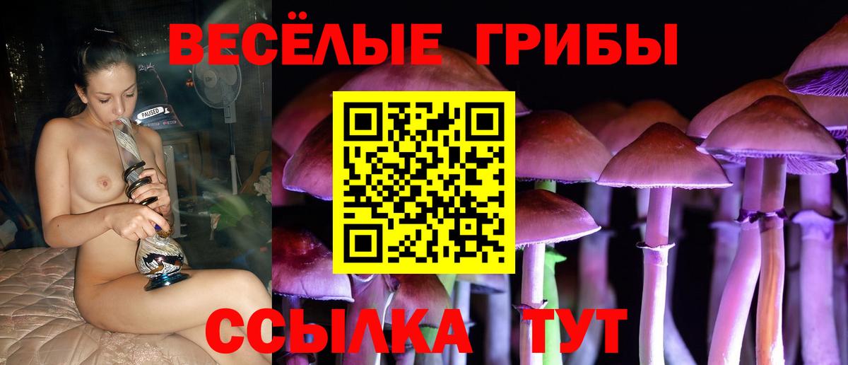 Галлюциногенные грибы мицелий  Вход с VPN  Анжеро-Судженск  Галлюциногенные грибы мухоморы 