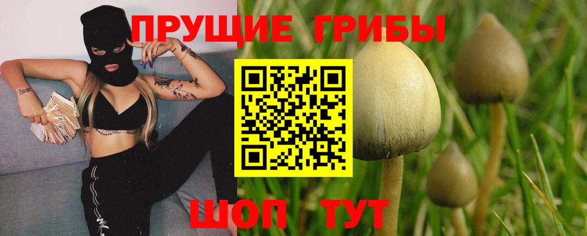 Псилоцибиновые грибы мицелий Анжеро-Судженск